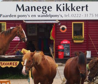 Paardrijden bij Manege Kikkert