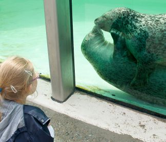 Twee bijzondere musea, die moet je gezien hebben.